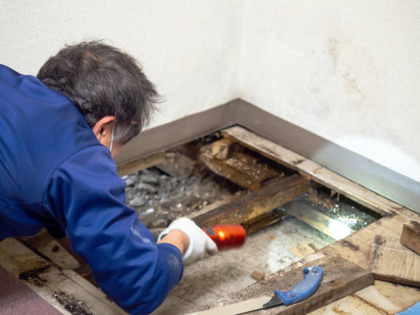 Best Post-Remediation Services in Woodbury Center, CT