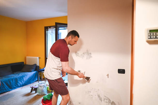 Best Mold Remediation for Schools in Woodbury Center, CT